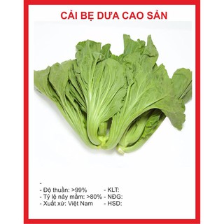 Hạt giống cải bẹ dưa uy tín chất lượng