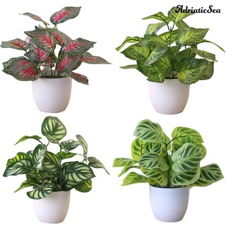 Cây cảnh nhân tạo dùng cho trang trí nội thất