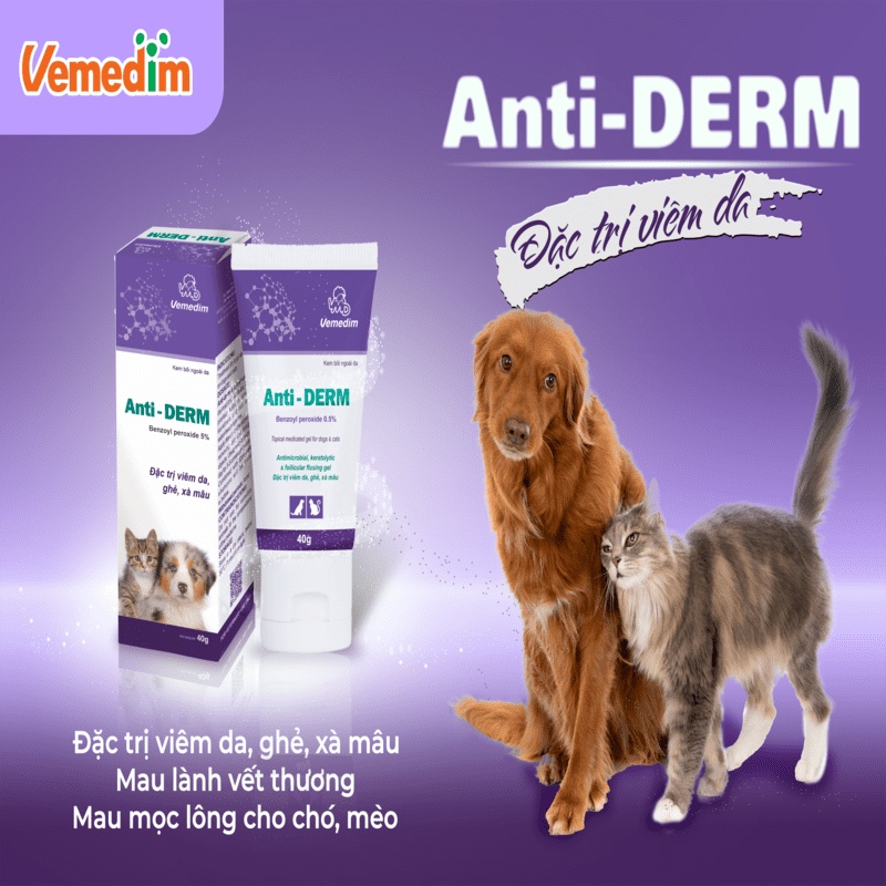 Kem bôi viêm da, ghẻ, xà mâu cho chó mèo Anti Derm chống tiết bả nhờn mau lành vết thương mau mọc lông tuýt  50g