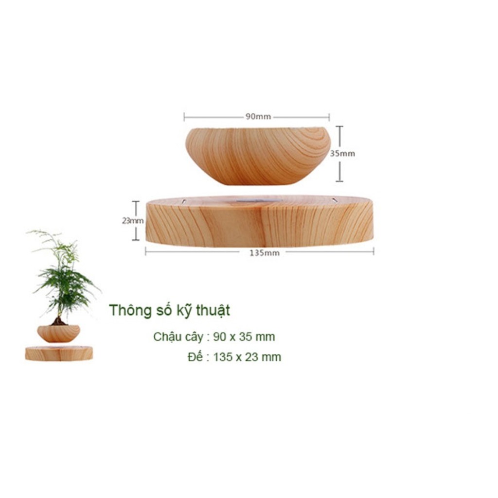 Chậu cây bonsai bay lơ lửng vân gỗ Đen trang trí đẹp mắt - HanruiOffical