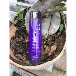 Dầu gội cân bổ sung sắc tố tím và khử ánh vàng cho tóc nhuộm Joico Tone lạnh Balance Purple Shampoo 300ml