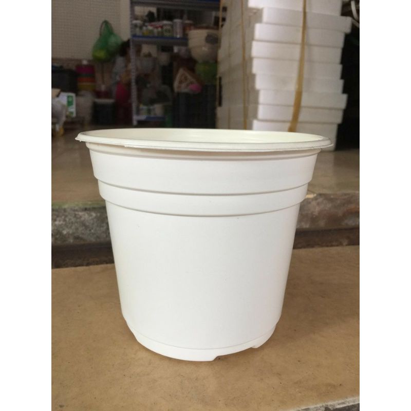 Chậu ươm cây đường kính 15cm