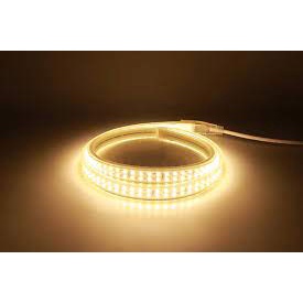 Đèn Led dây đôi 2835 ánh sáng màu xanh dương, ống nhựa 220V 5M