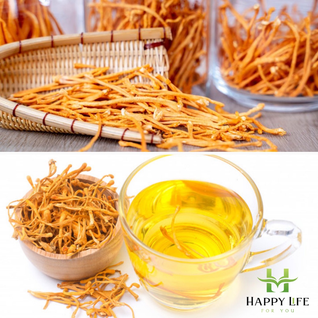 Đông trùng hạ thảo sấy khô HIMALAYA - Happy Life 4U