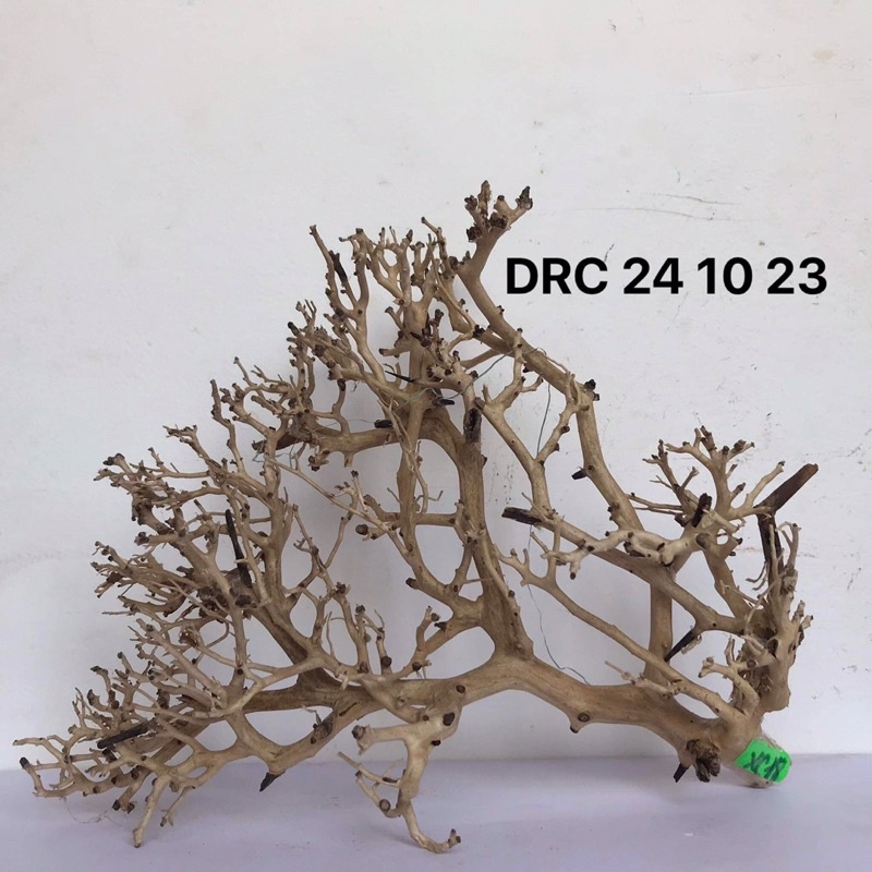 LŨA XƯƠNG CHÙM DÙNG ĐỂ SETUP TÁN CHO CÂY BONSAI, HỒ CÁ