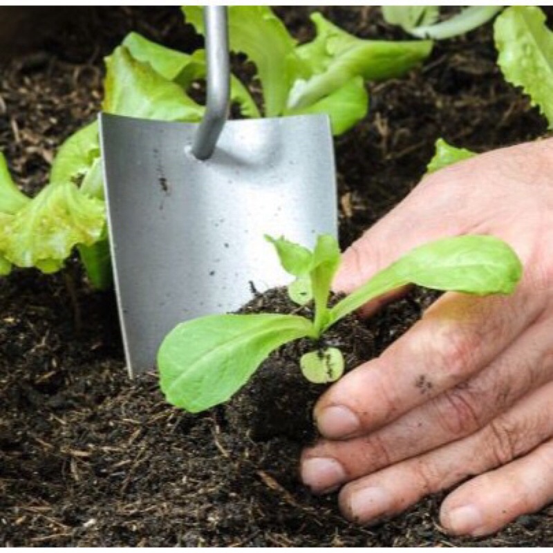 1 bao Đất Sạch Tribat trồng rau sạch, trồng hoa, 20dm3,hàng sẵn kho