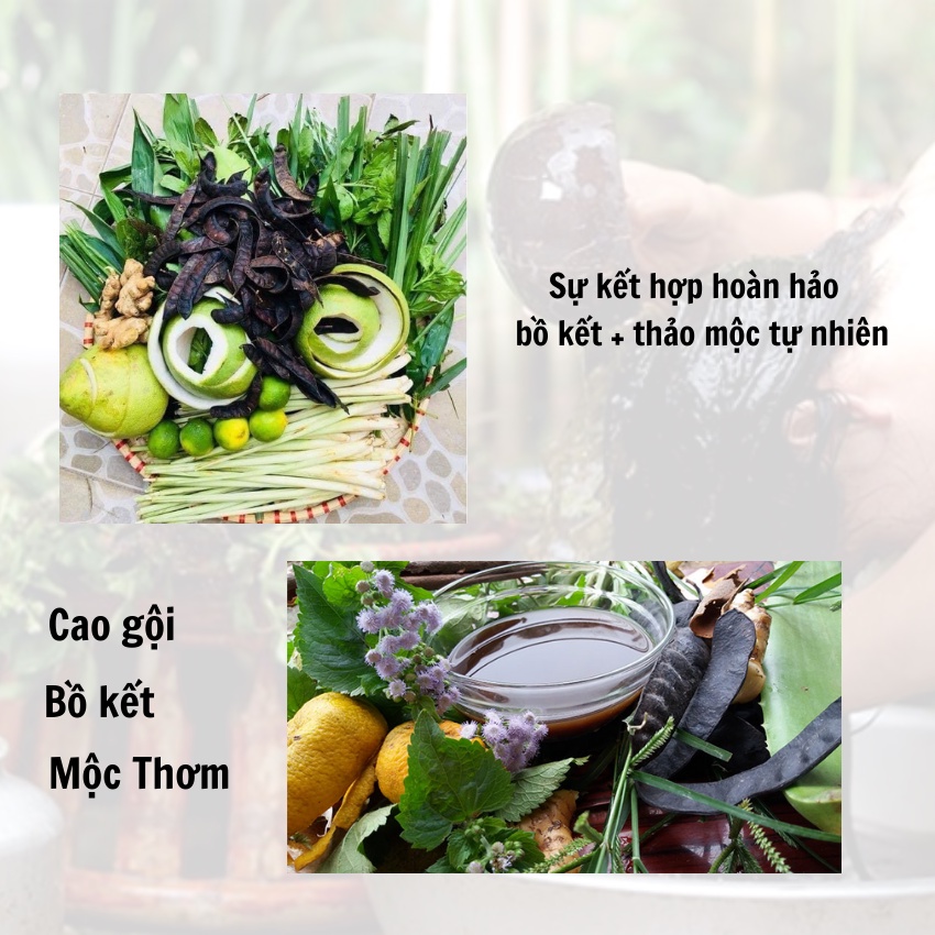 Cao gội thảo mộc Anplus 300ml