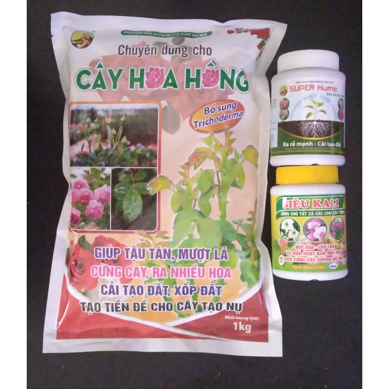 Phân hoa hồng, phục hồi cây Hoa Hồng và dưỡng hoa (Hoa hồng,này humic,kali) TOTT's fertilizer