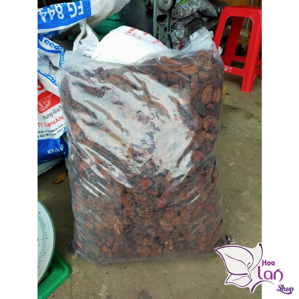 Vỏ Thông Trồng Lan ⚜️FREESHIP⚜️ size 2.5 - 4cm  Mài Cạnh Đã Qua Xử  Lý Dùng Để Lót Đáy Chậu, Túi 500G