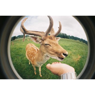 Máy ảnh Fisheye Hello Kitty Edition