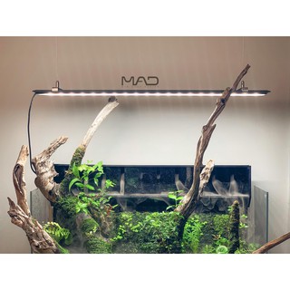 Ốc Siết Cáp Treo Đèn