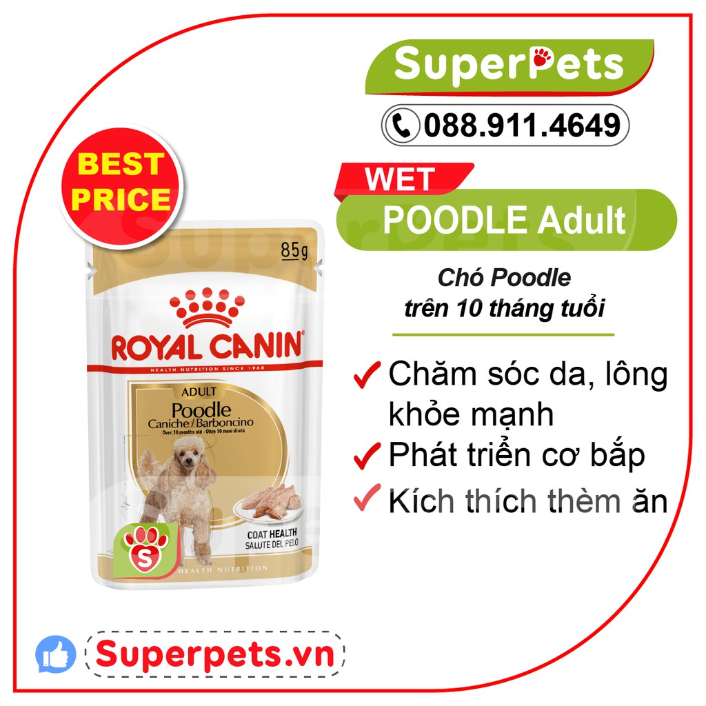 Pate Poodle Adult 85g Pháp Royal Canin siêu dinh dưỡng SUPERPETS VIỆT NAM