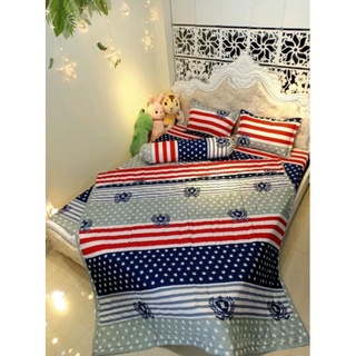 Bộ chăn ga 5 món cotton poly
