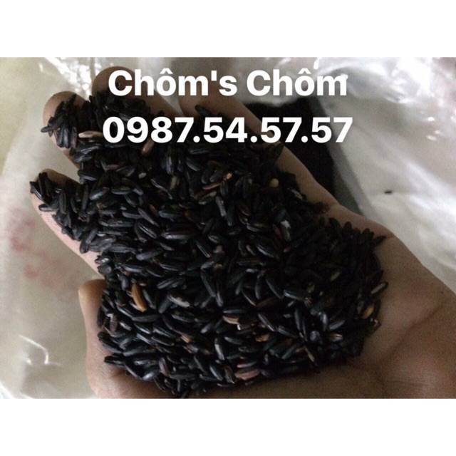 Combo 2,5kg nếp cẩm