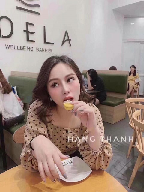 Áo sơ mi chấm bi siêu yêu 5 màu trắng, đen, vàng, nâu, hồng