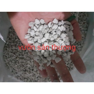 Đá Pumice (1kg) Size 5_8mm, Thoáng, Thích Hợp Trộn Đất Lót Chậu Trồng Bonsai, Hoa Kiểng, Hồng