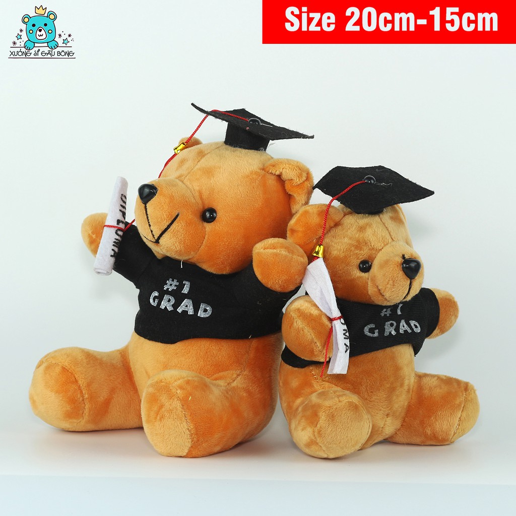 Gấu cử nhân quà tặng tốt nghiệp cho bé nhận in logo theo yêu cầu size 20-15cm