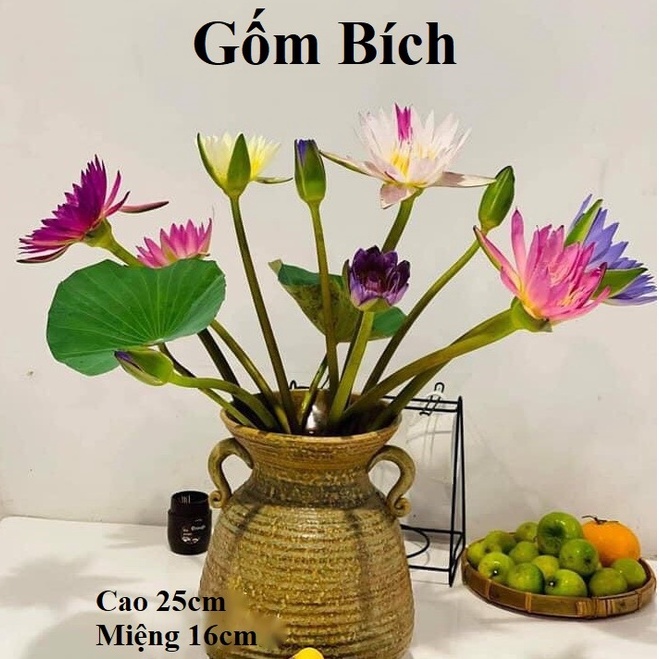 Bình Hoa Lọ Hoa Men Mộc Dáng Giỏ Cua Đắp Tai Gốm Sứ Bát Tràng - Gốm Bích