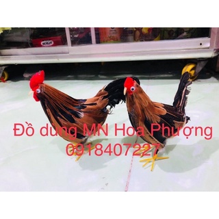 Gà trống-mái bằng lông thật, gà con cho giảng dạy Mầm non
