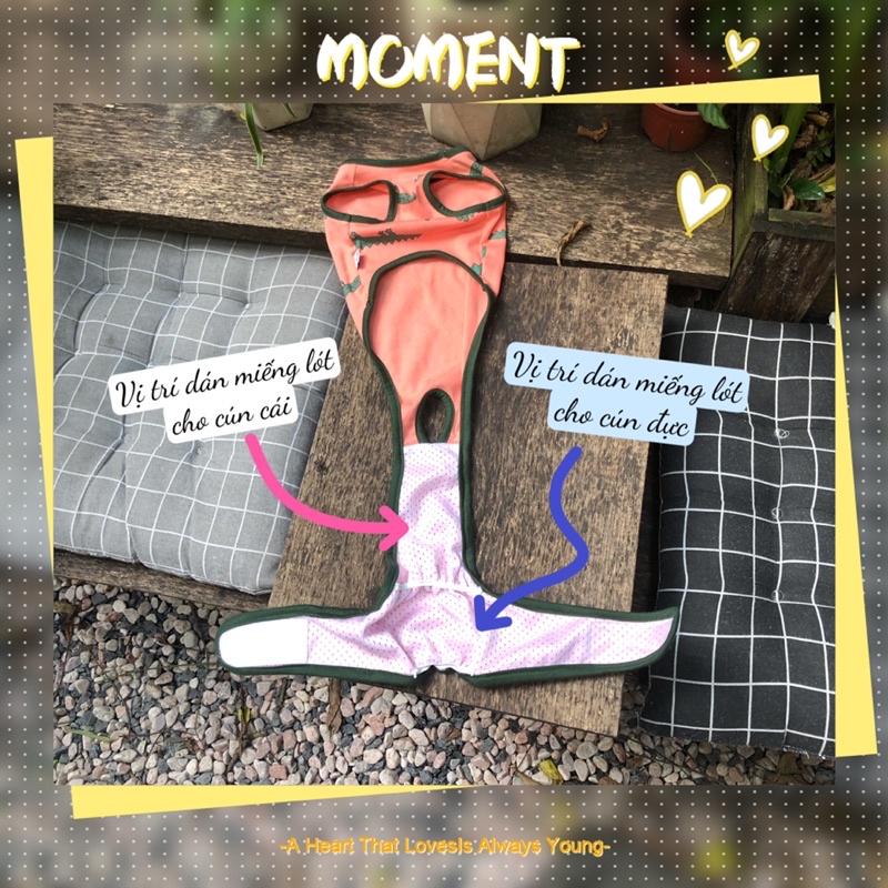 Quần sinh lý thú cưng unisex