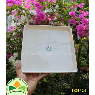 Đĩa nhựa vuông D24