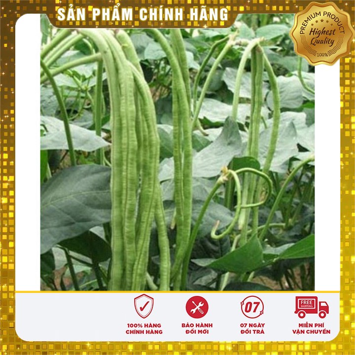 Hạt giống Đậu Đũa 20Gram [Bán Sỉ]