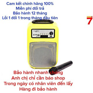 Loa Du Lịch SOUNDMAX M1 40W - Kèm Micro