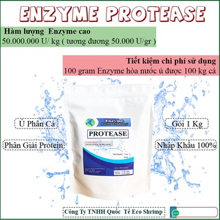 Enzyme ủ phân cá đậm đặc protease gói 1 kg