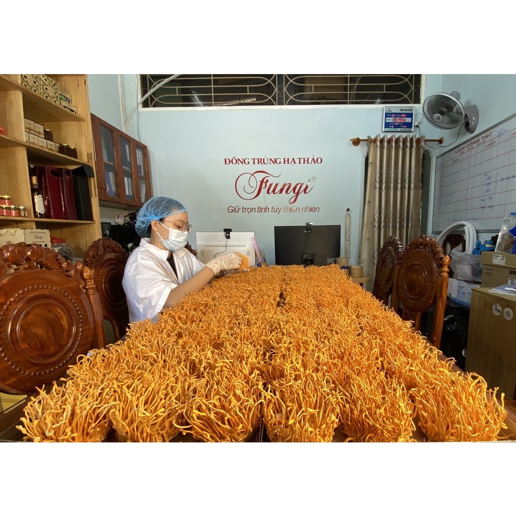 Đông Trùng Hạ Thảo Fungi Sấy Thăng Hoa (10g) [Thế Giới Nấm - Cantho Fresh Food]