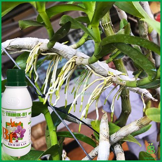 Phân Bón Vitamin-B1 Điền Trang