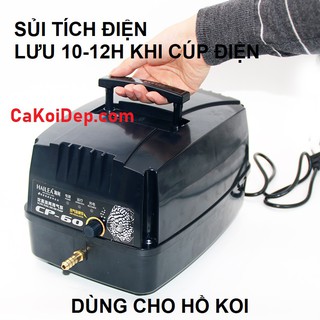 Máy Sủi Tích Điện Hailea CP 60 80w Lưu Được 10-12h Khi Cúp Điện