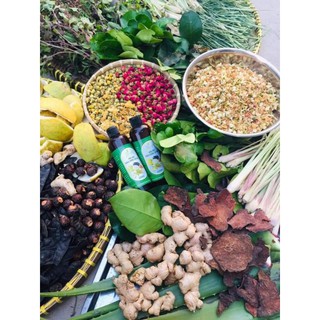 Dầu gội thảo dược