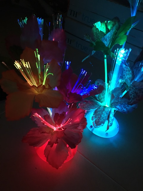 Chậu hoa led phát sáng đổi màu siêu đẹp