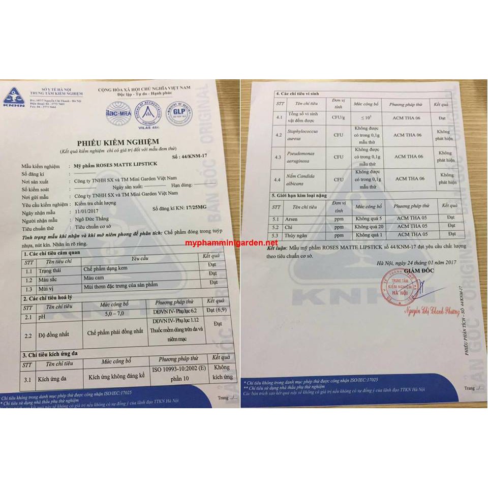 FREESHIP 99K Son rose mini garden chính hãng