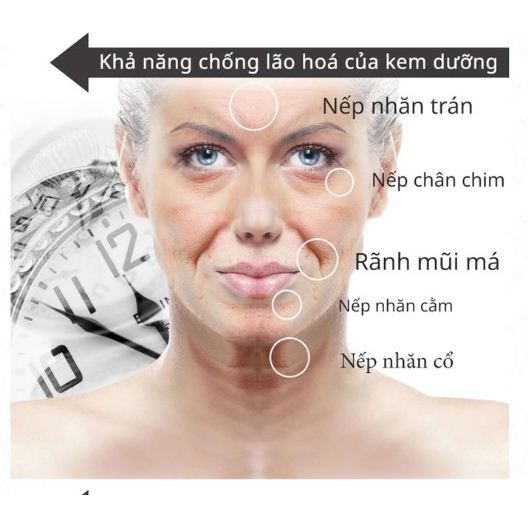 Kem Huayuenong Đông Trùng Hạ Thảo - Dưỡng Trắng Da & Mờ Thâm Nám