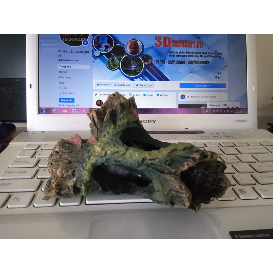 Khúc Cây Chữ Y trang trí bể cá, thuỷ sinh, bò sát, tarantula