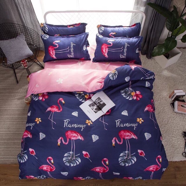 COTTON POLY Trọn bộ 4 món