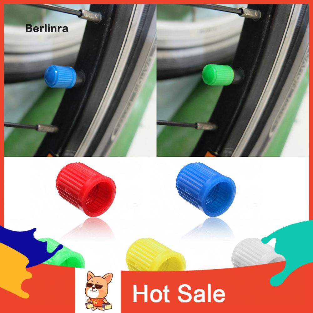 Bộ 100 Nắp Van Bánh Xe