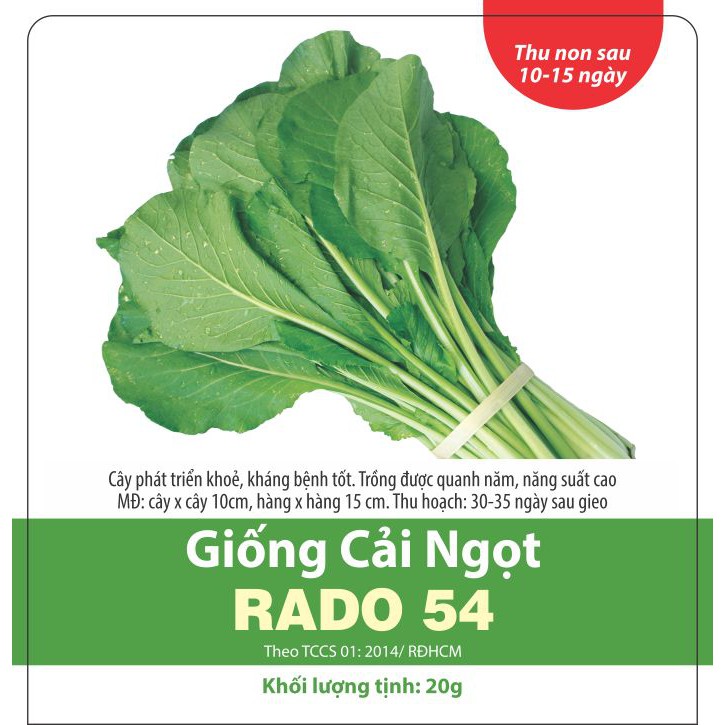 Hạt Giống Rau Cải Ngọt