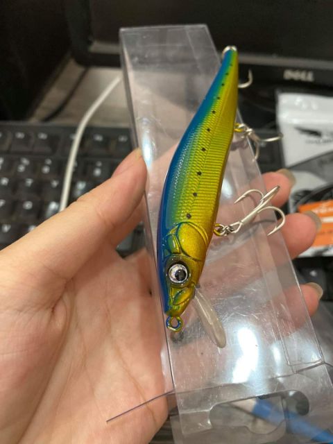 Cá Minnow Sanchem