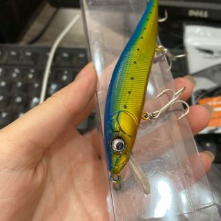Cá Minnow Sanchem