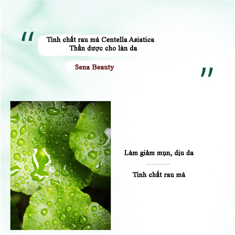 Toner dạng bông thấm làm sạch sâu axit salicylic 2% dành cho da dầu mụn Sena Beauty | BigBuy360 - bigbuy360.vn