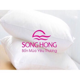 RUỘT GỐI SÔNG HỒNG ( 45 x 65 )