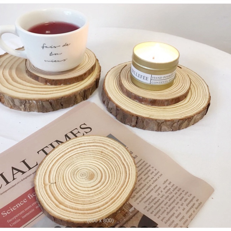 Miếng gỗ thông tự nhiên mộc mạc trang trí chụp ảnh, làm handmade