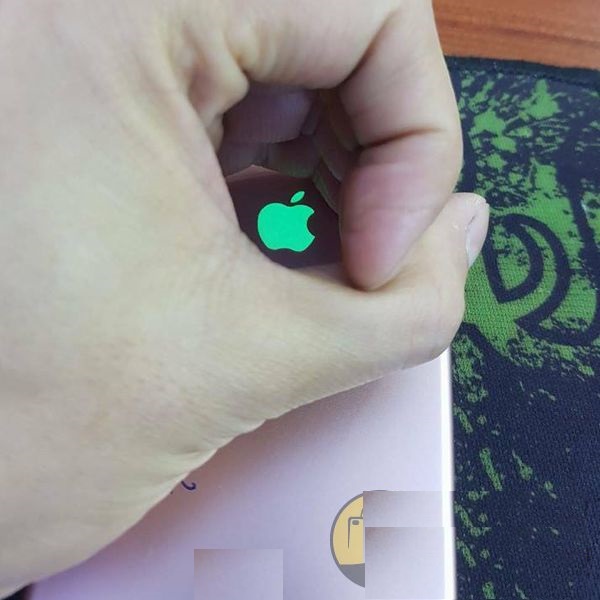 Logo Táo Dạ Quang Phát Sáng Độc Đẹp Giá Rẻ