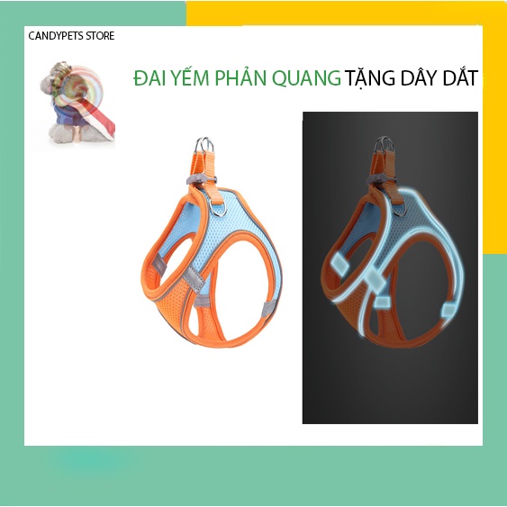 Dây dắt chó đi dạo ,dây yếm đai áo ngực cho chó mèo có vòng phản quang CANDYPETS DD01