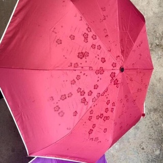 Dù che mưa nở hoa khi gặp nước
