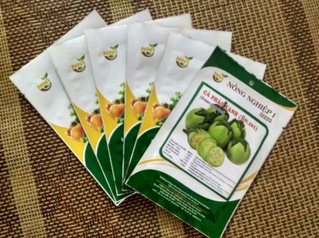 Hạt giống cà pháo xanh năng suất cao