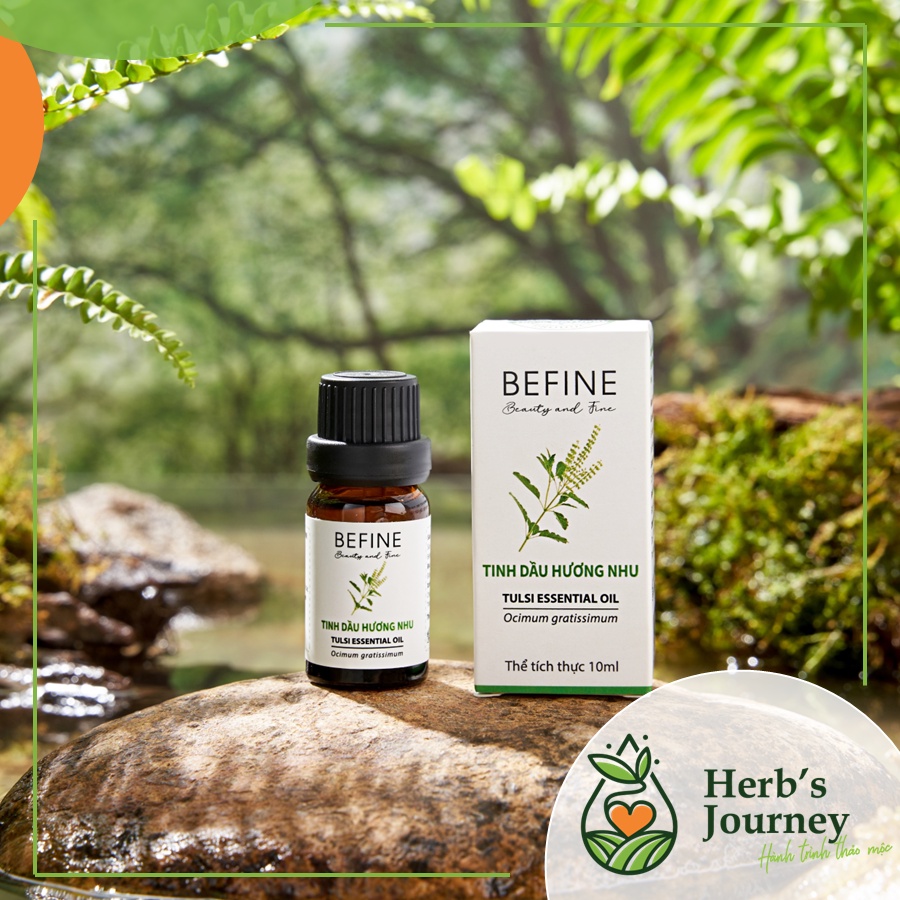 Tinh dầu Hương Nhu cao cấp - BEFINE - Tinh dầu nguyên chất chưng cất tự nhiên - Gội đầu, dưỡng tóc, thơm phòng