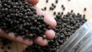 Hạt tiêu đen nguyên hạt 100g